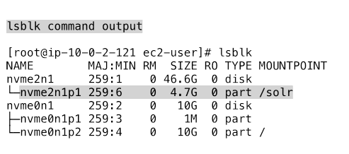 On the source host, we use the Red Hat Linux parted utility to create and mount an XFS partition of size 5GiB. We mount the partition as /solr for application data and run the lsblk command to list and view the partitions and mount points. An example of this is shown in Figure 3.