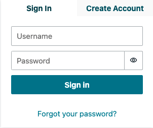 Figure16-Sign In and Create Account tabs