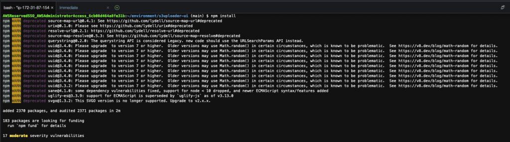 Figure 12-Example of output from the command npm install