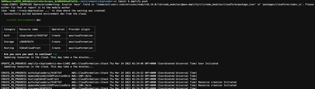 Figure 13-Example of the output from the command amplify push