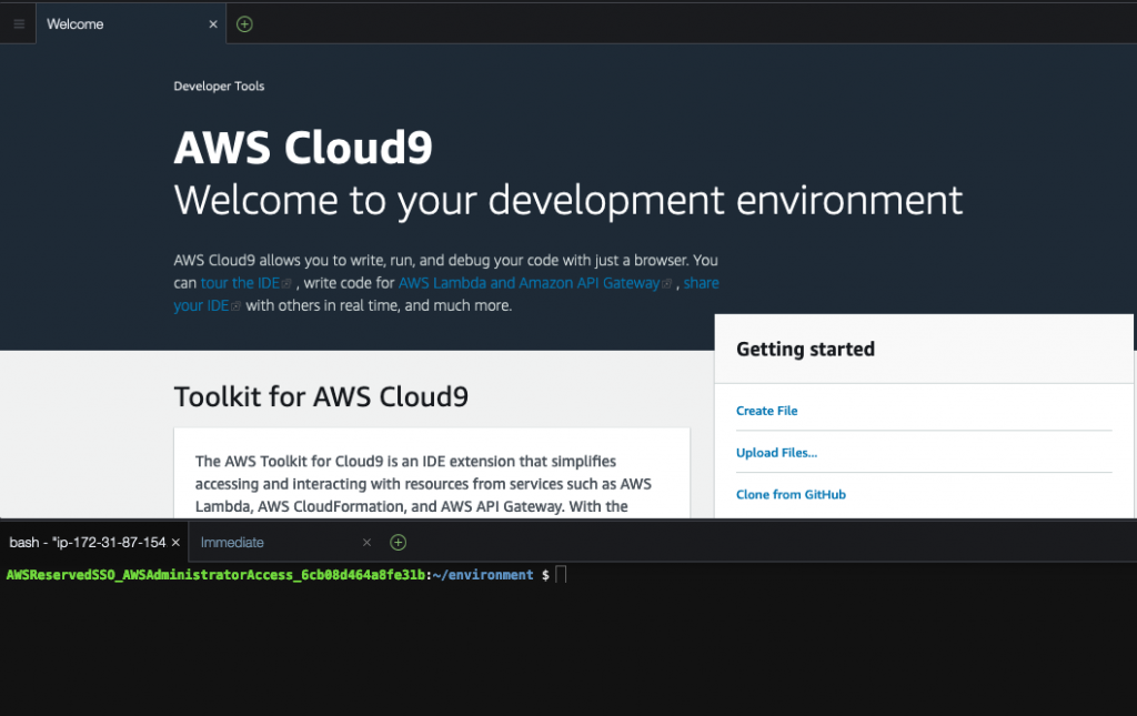 Figure 4 - AWS Cloud9 terminal