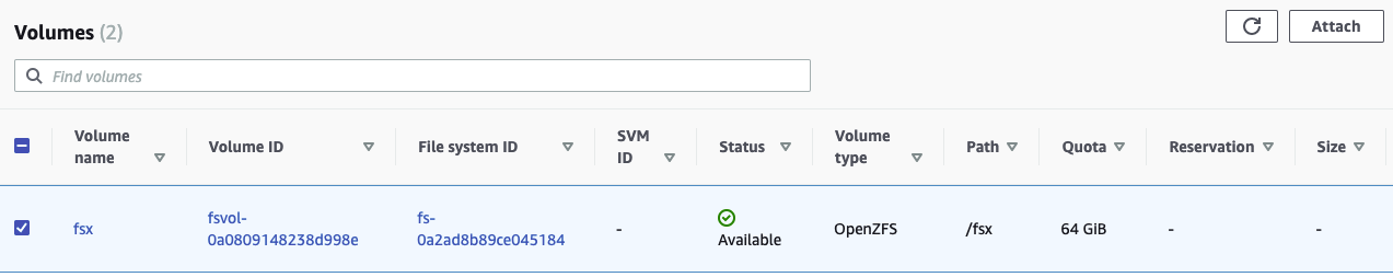 Attach volumes
