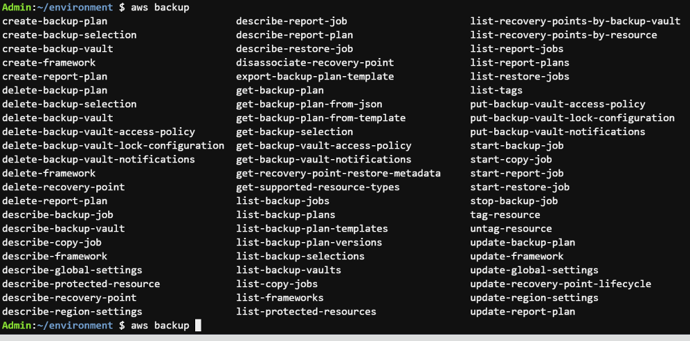 Figure 12 - CLI commands for the AWS Backup service