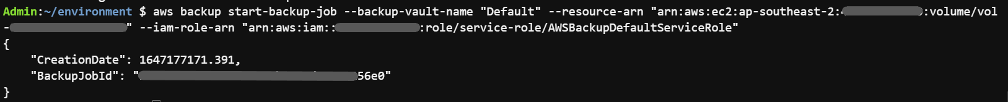 Figure 16 - Example of AWS Backup service's start-backup-job command