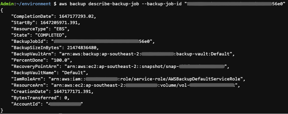 Figure 17 - Example of AWS Backup service's describe-backup-job command