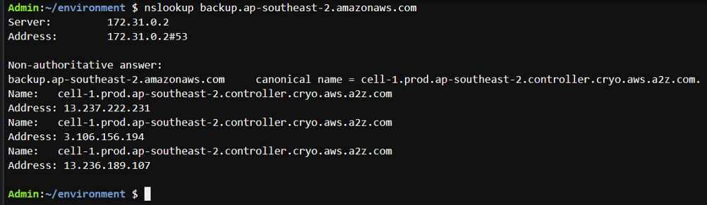 Figure 2 - Example of AWS Backup endpoint