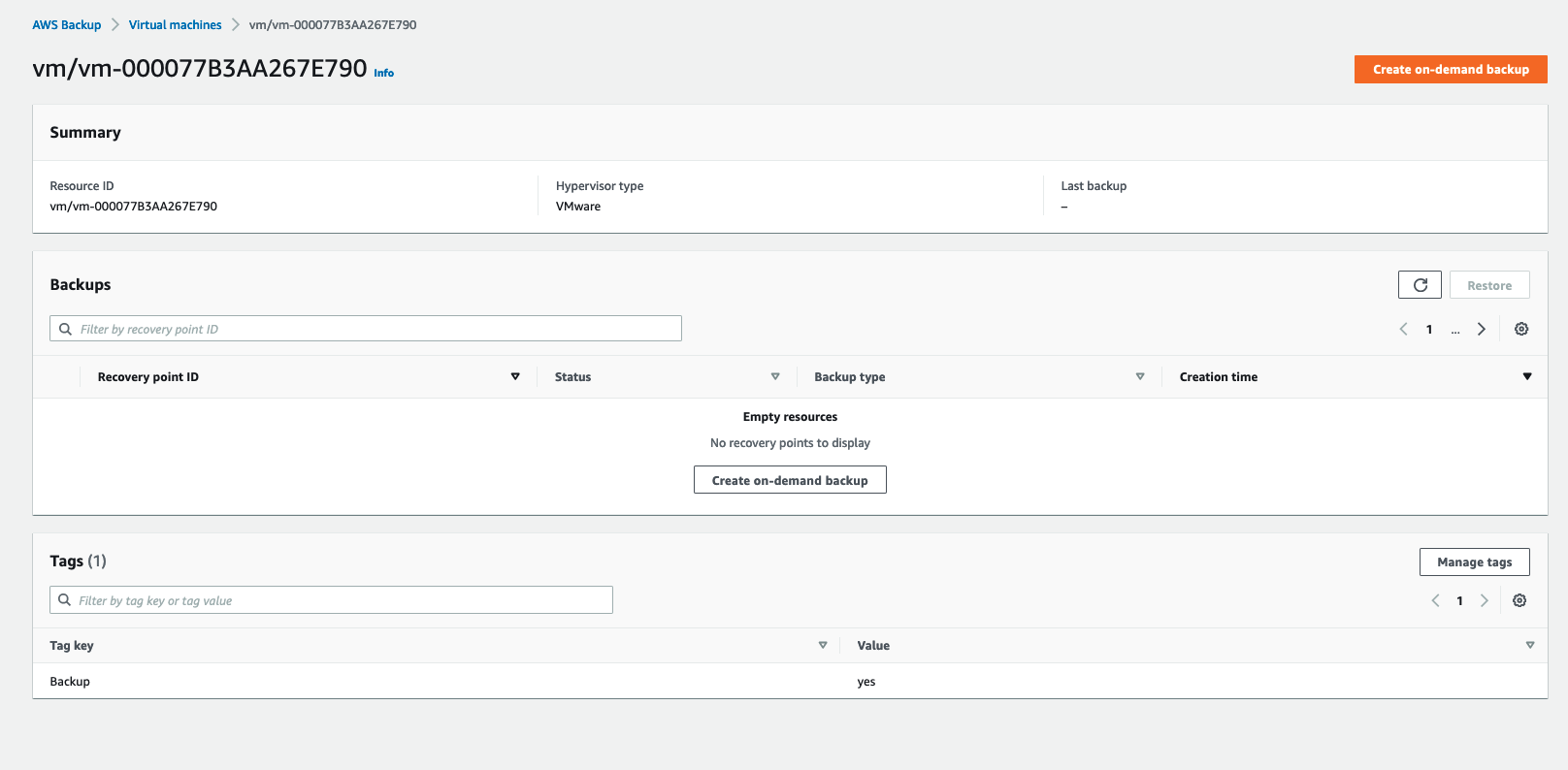 Figure 4.4: AWS Backup virtual machine summary page