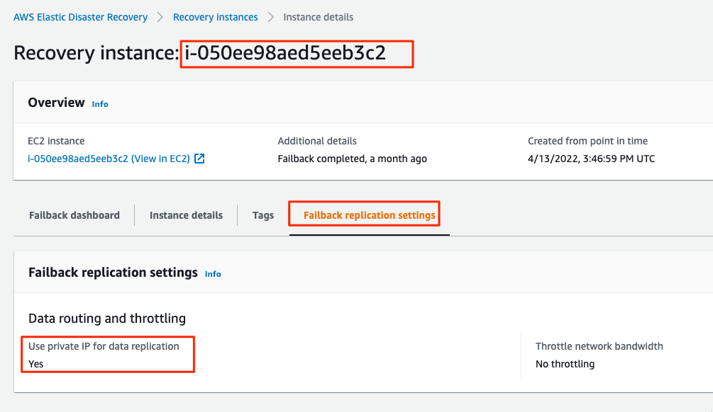 Identify recovery instance ID