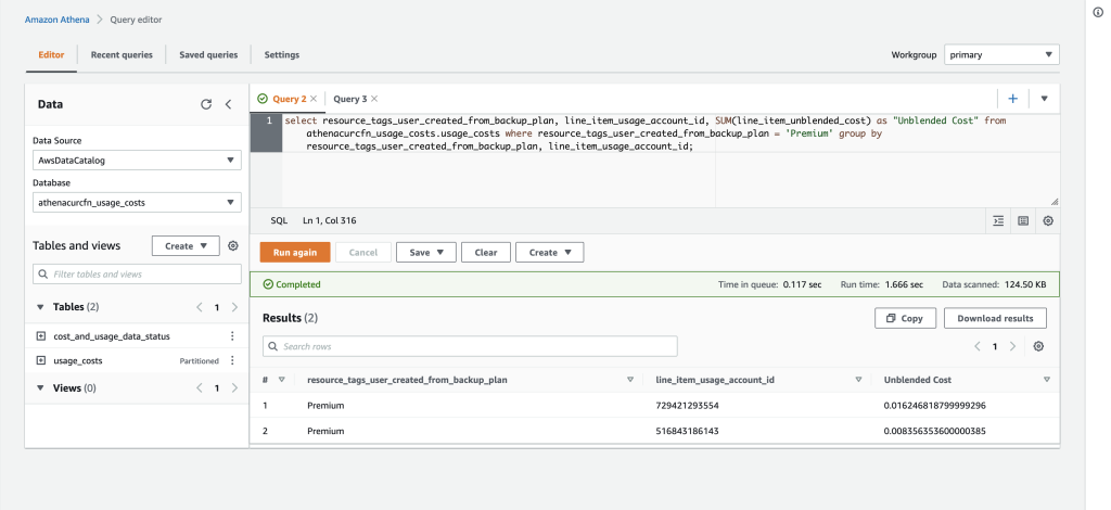 Query Result showing unblended cost of the “Premium Plan” grouped by two AWS accounts
