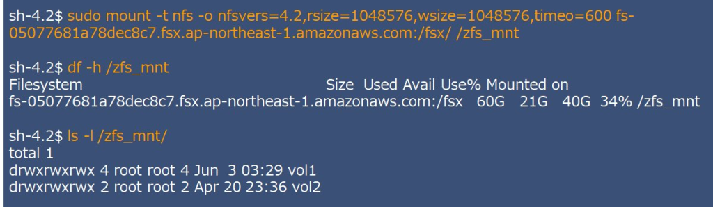 NFS mount verification