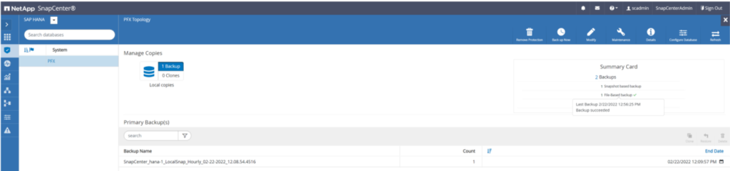 NetApp Snapcenter web interface example