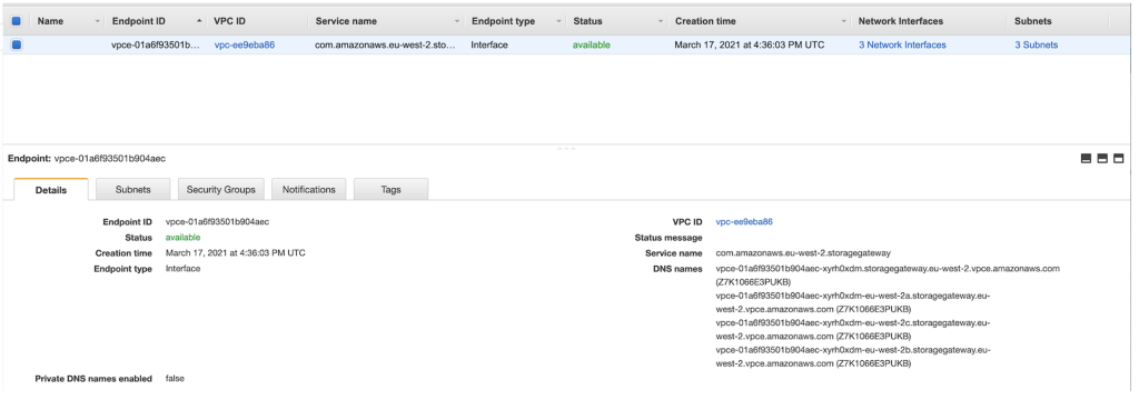 VPC Interface Endpoint Details