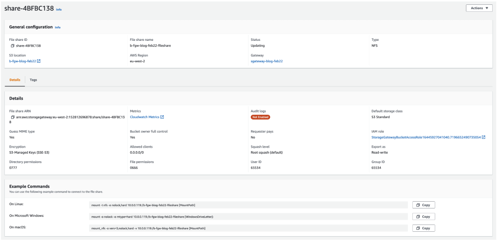 NFS File Share Details