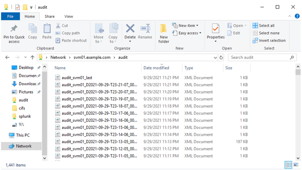 File access audit logs in XML
