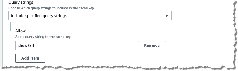 The CloudFront cache policy only allows the showExif query string