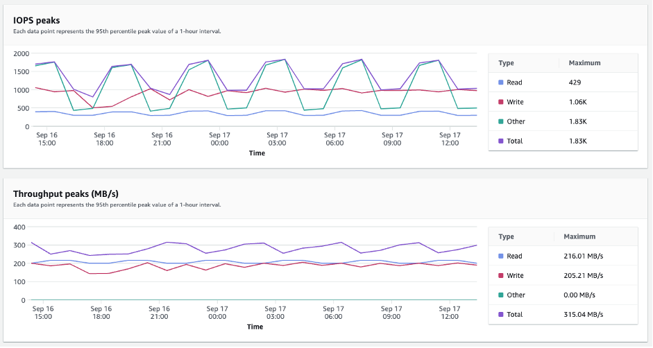 Performance charts showing IOPS peaks and Throughput peaks