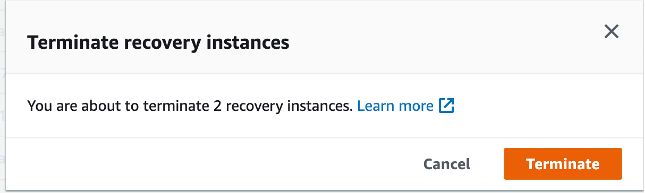 Picture12 - terminate instance