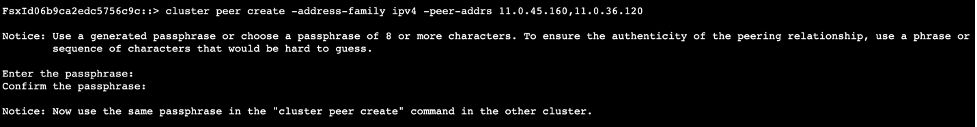 the cluster peering request from the DR FSx for ONTAP file system