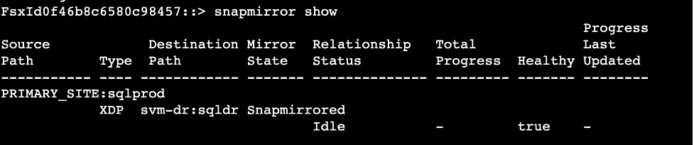 status of SnapMirror relationship