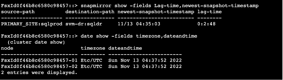 the lag time and newest snapshot timestamp