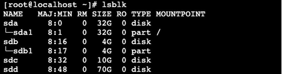 lsblk show instance volumes