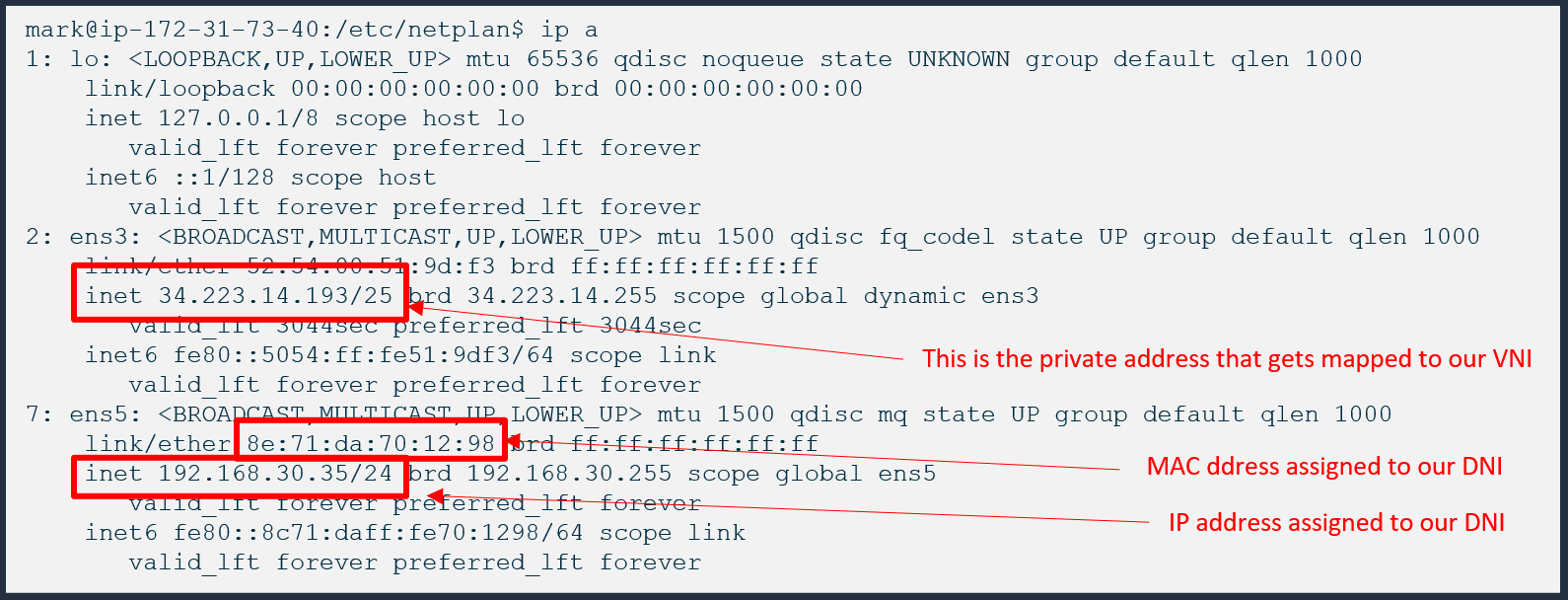 Example output of VNI and DNI configured on Ubuntu OS