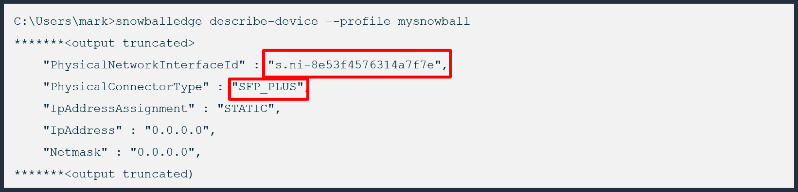 SnowballEdge CLI describe-device command to get physical network interface id