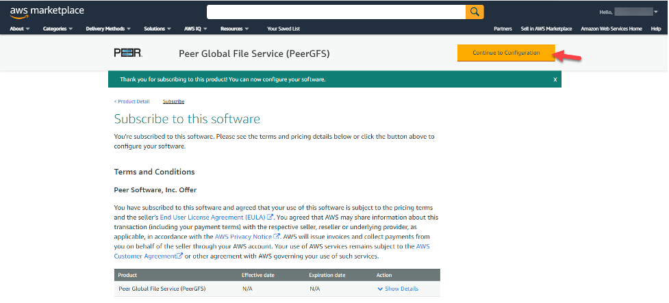 Shows how to continue to configuration and subscribe to the Peer Global File Service in AWS