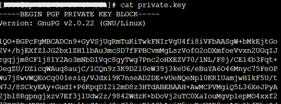 The command line interface with the text from a created PGP key.
