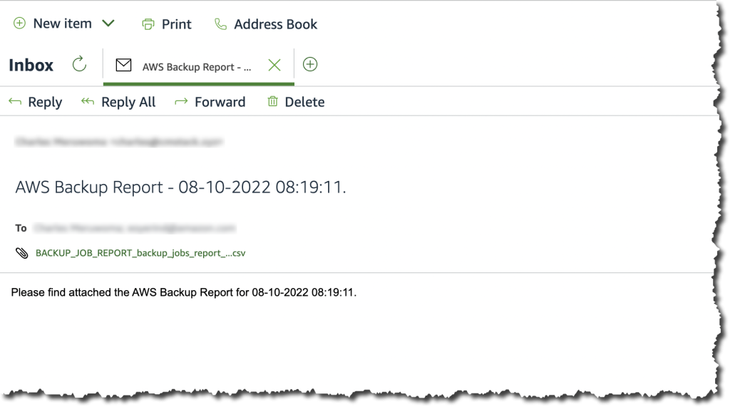 Sample backup report delivered to email inbox