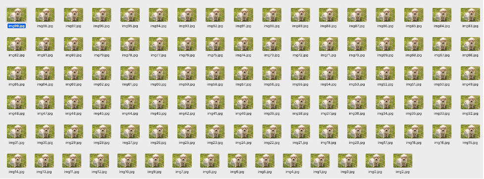 Images in input bucket
