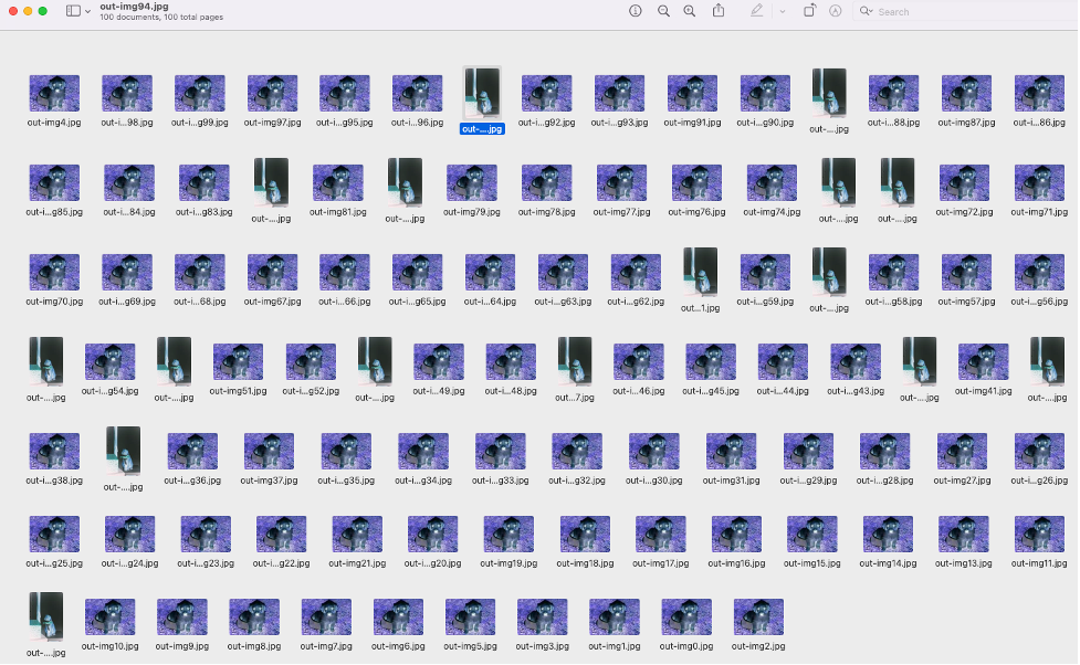 Processed images in output bucket