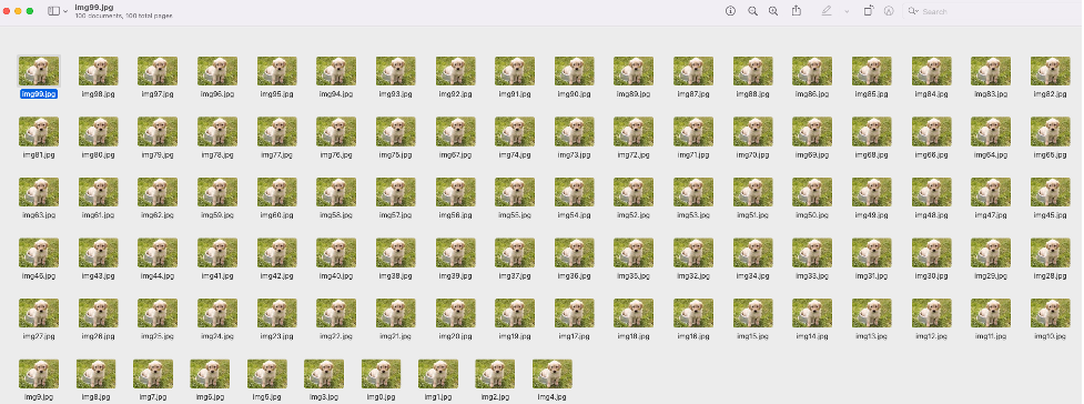 Images in input bucket