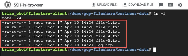 Google Cloud Filestore contains source files to transfer to Amazon EFS.