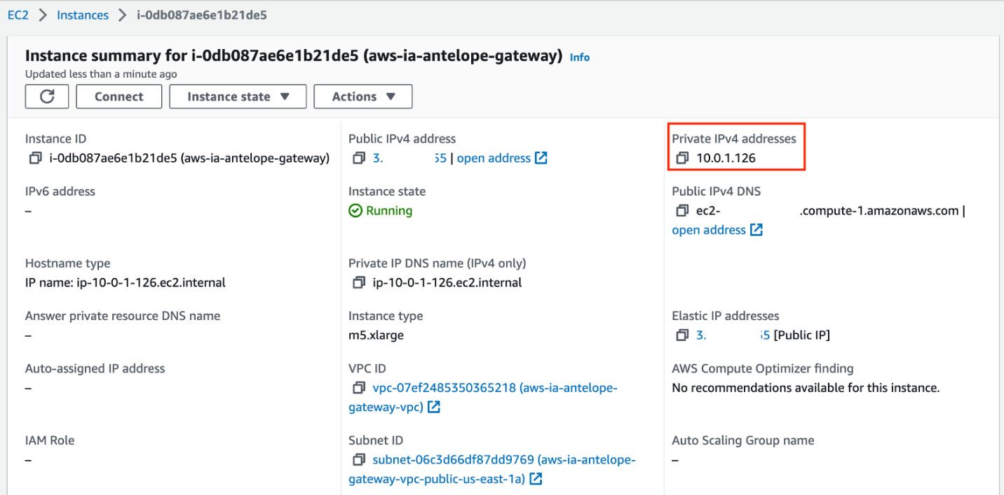 Private IP addess of the EC2 instance
