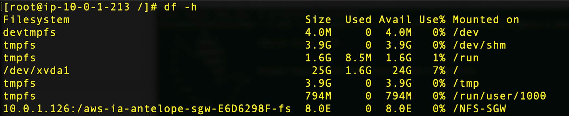 Ready to use NFS fileshare