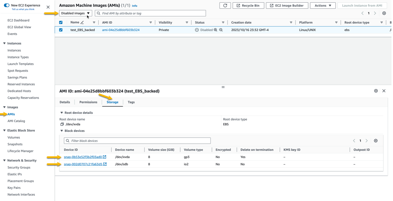 A screenshot that shows the IDs of snapshots associated with disabled AMI