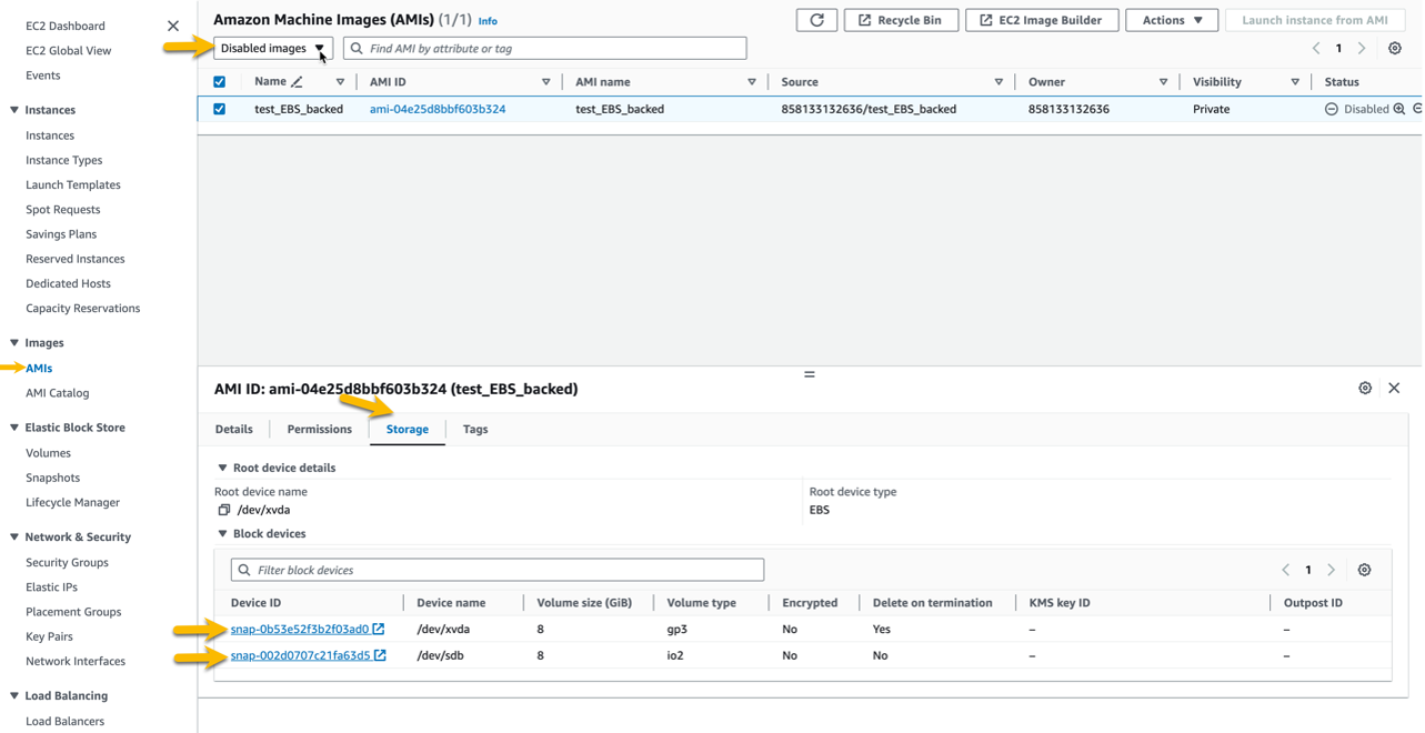 A screenshot that shows the IDs of snapshots associated with the disabled AMI