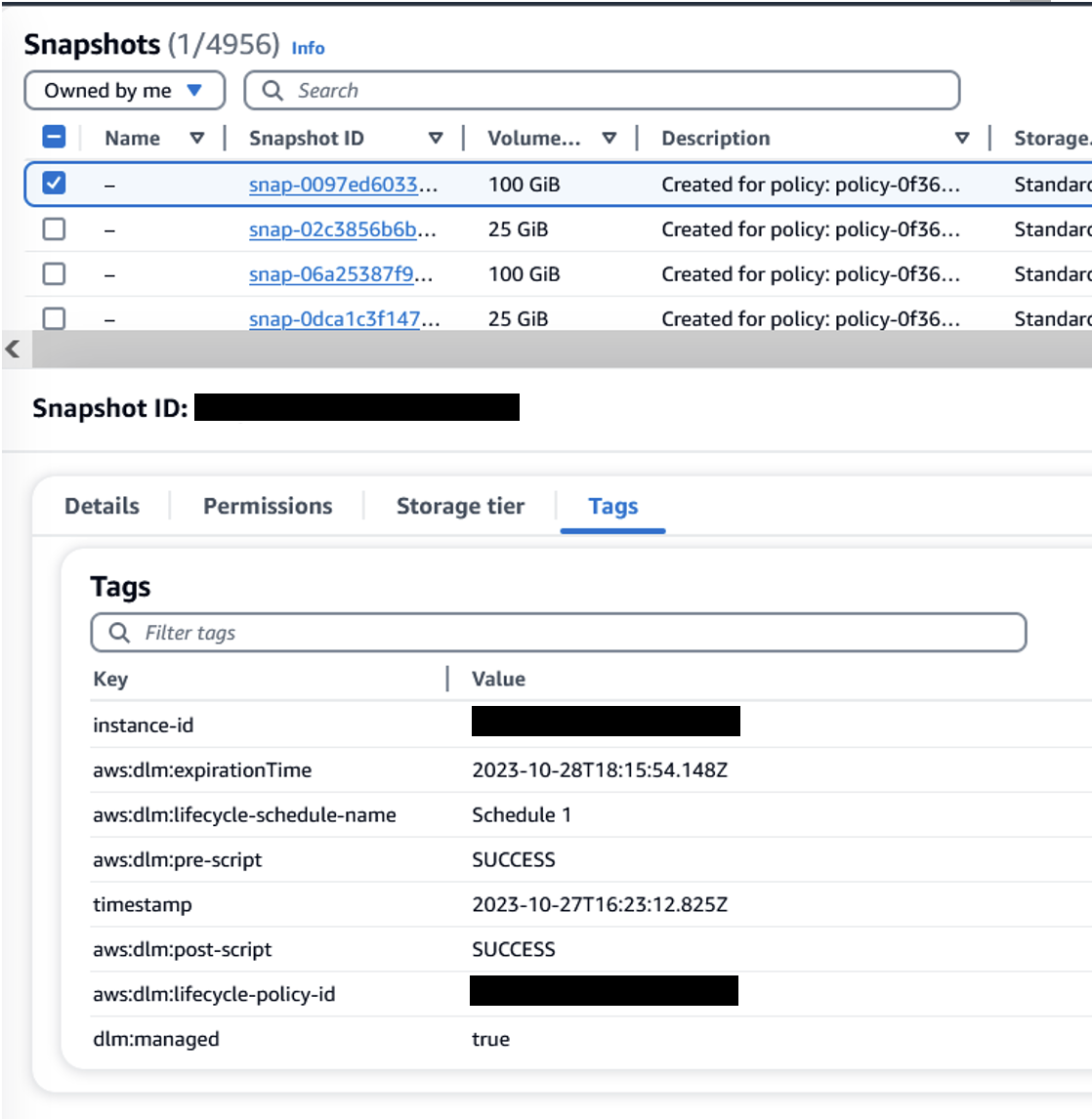 Screenshot showing snapshots with Tags.
