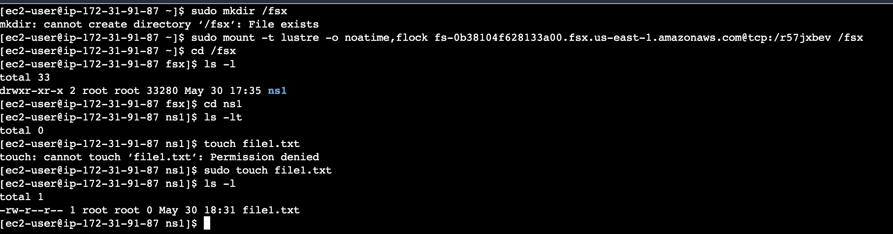 test file in mounted directory