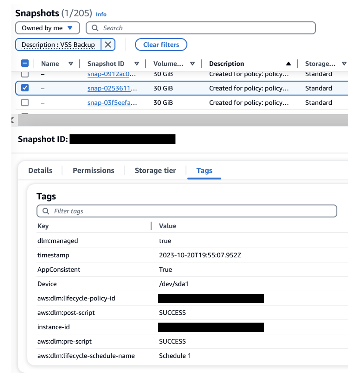 Checking snapshot to see if it is VSS enabled
