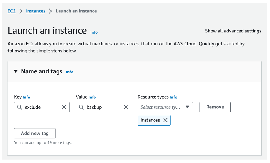 Adding tag to the instance so that it is not targeted by the default policy.