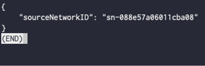 Command output showing the sourceNetworkID