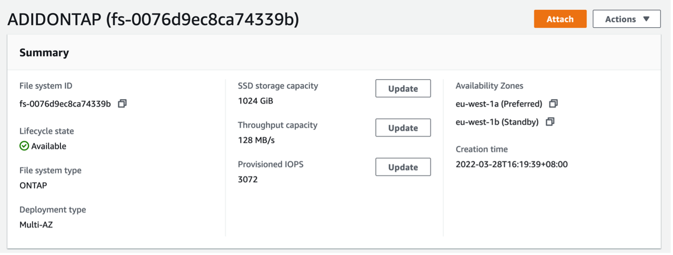 Figure 6 FSx for ONTAP File System settings