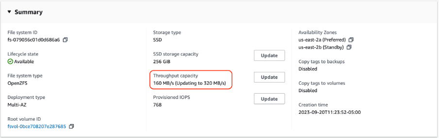 Figure_4_Review_Tput_Capacity