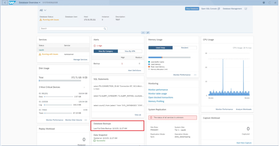 Screenshot of HANA Cockpit