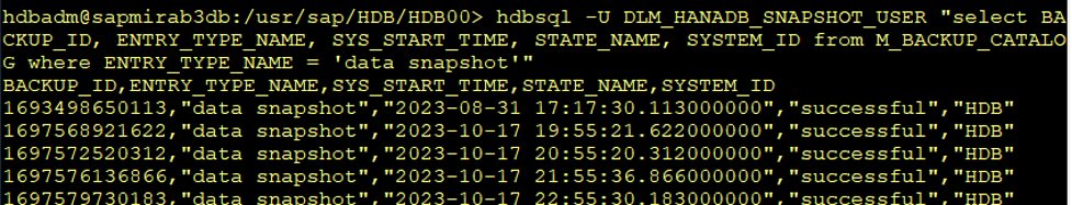 Screenshot of Command Line interface