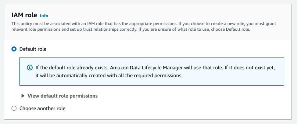 Choose IAM role interface