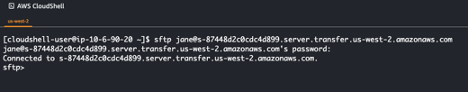 Screenshot of AWS CloudShell CLI with command and result