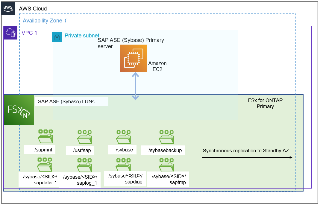 SAP ASE Primary server storage mount point set up